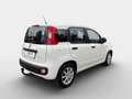 Fiat Panda MY21 FireFly Hybrid 70 Weiß - thumbnail 4