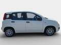 Fiat Panda MY21 FireFly Hybrid 70 Weiß - thumbnail 3