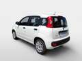 Fiat Panda MY21 FireFly Hybrid 70 Weiß - thumbnail 5