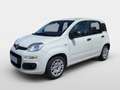 Fiat Panda MY21 FireFly Hybrid 70 Weiß - thumbnail 1
