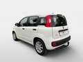 Fiat Panda MY21 FireFly Hybrid 70 Weiß - thumbnail 5