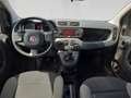 Fiat Panda MY21 FireFly Hybrid 70 Weiß - thumbnail 18