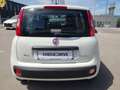 Fiat Panda MY21 FireFly Hybrid 70 Weiß - thumbnail 10