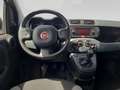 Fiat Panda MY21 FireFly Hybrid 70 Weiß - thumbnail 16