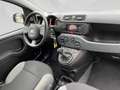 Fiat Panda MY21 FireFly Hybrid 70 Weiß - thumbnail 21