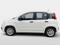 Fiat Panda MY21 FireFly Hybrid 70 Weiß - thumbnail 6