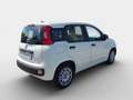 Fiat Panda MY21 FireFly Hybrid 70 Weiß - thumbnail 4