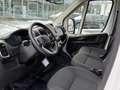 Toyota Proace Max 2.2-l-D 35 L3H2 Meister Blanco - thumbnail 11