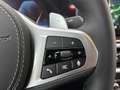 BMW X6 xDrive 30dA M Sport Gris - thumbnail 23
