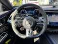 Mercedes-Benz E 53 AMG Mercedes-AMG E 53 Hybrid 4MATIC+ T-Modell *AHK*VOLL* Gris - thumbnail 17