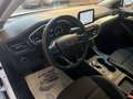 Ford Focus 1.5 EcoBlue 120 Aut. SW Co-Pilot Bianco - thumbnail 14