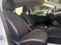 Ford Focus 1.5 EcoBlue 120 Aut. SW Co-Pilot Bianco - thumbnail 9