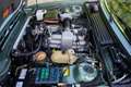 BMW 635 Csi "Less than 42.000 KM - Factory new condition" Grün - thumbnail 15