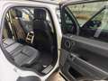 Land Rover Range Rover Sport 3.0TDV6 HSE Aut. Blanco - thumbnail 30