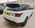 Land Rover Range Rover Sport 3.0TDV6 HSE Aut. Blanco - thumbnail 37