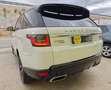 Land Rover Range Rover Sport 3.0TDV6 HSE Aut. Blanco - thumbnail 35
