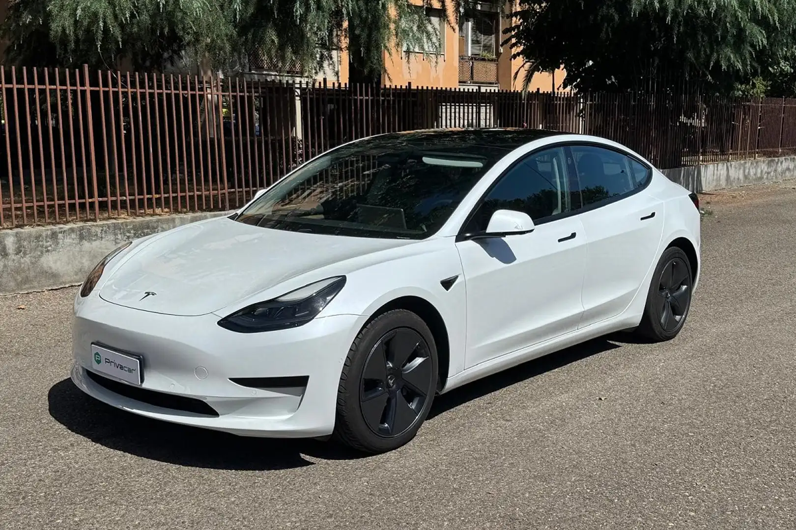 Tesla Model 3 Model 3 Standard RWD Plus Wit - 1