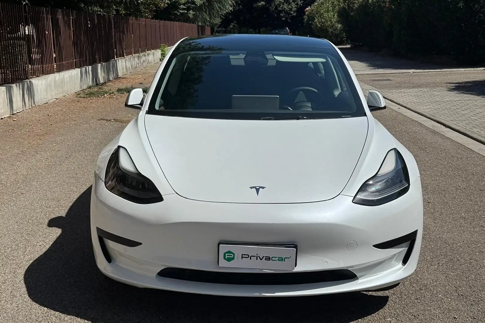Tesla Model 3 Model 3 Standard RWD Plus Wit - 2