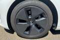 Tesla Model 3 Model 3 Standard RWD Plus Wit - thumbnail 11
