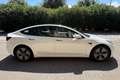 Tesla Model 3 Model 3 Standard RWD Plus Wit - thumbnail 4