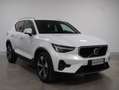 Volvo XC40 B3 Core Mild-Hybrid Automatico Bianco - thumbnail 2