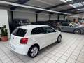 Volkswagen Polo V Life *Automatik*Klimatronic*ALU * SHZ Weiß - thumbnail 8