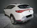 CUPRA Formentor 2.0 TDI Weiß - thumbnail 6