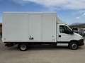 Iveco Daily Blanc - thumbnail 4
