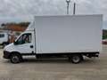 Iveco Daily Blanc - thumbnail 8