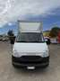 Iveco Daily Blanc - thumbnail 2