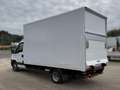Iveco Daily Blanc - thumbnail 7