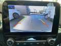 Ford Puma 1.0 EcoBoost Hybrid 125 CV S&S Titanium Blu/Azzurro - thumbnail 12
