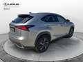 Lexus NX 300 Hybrid 4WD Premium Gris - thumbnail 3
