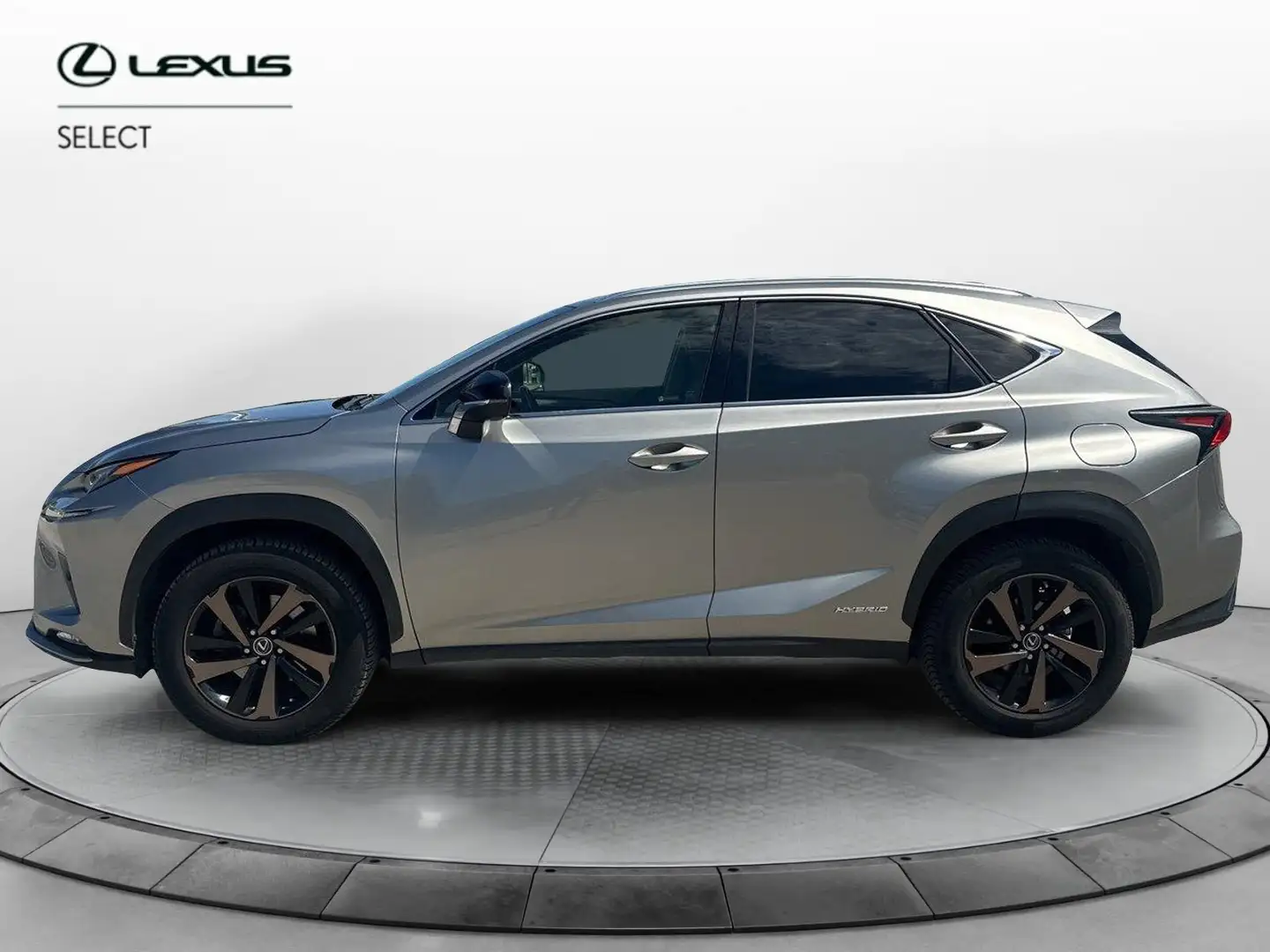 Lexus NX 300 Hybrid 4WD Premium Gris - 2