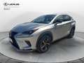 Lexus NX 300 Hybrid 4WD Premium Gris - thumbnail 1