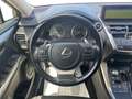 Lexus NX 300 Hybrid 4WD Premium Gris - thumbnail 10