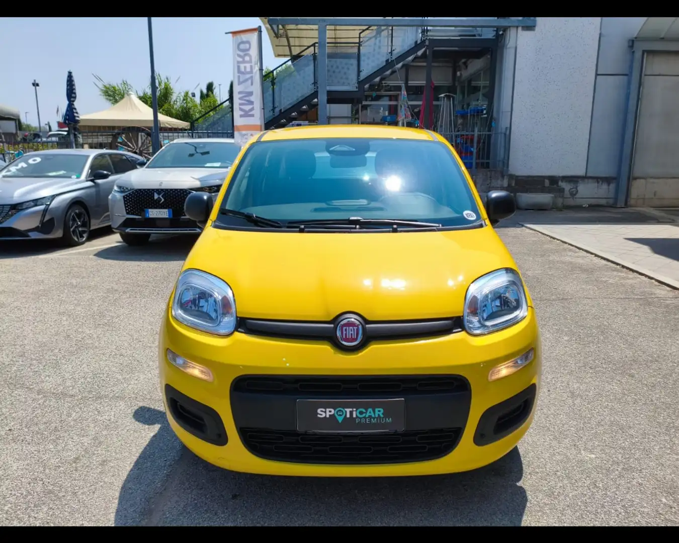 Fiat Panda 1.0 firefly hybrid s&s 70cv Giallo - 2