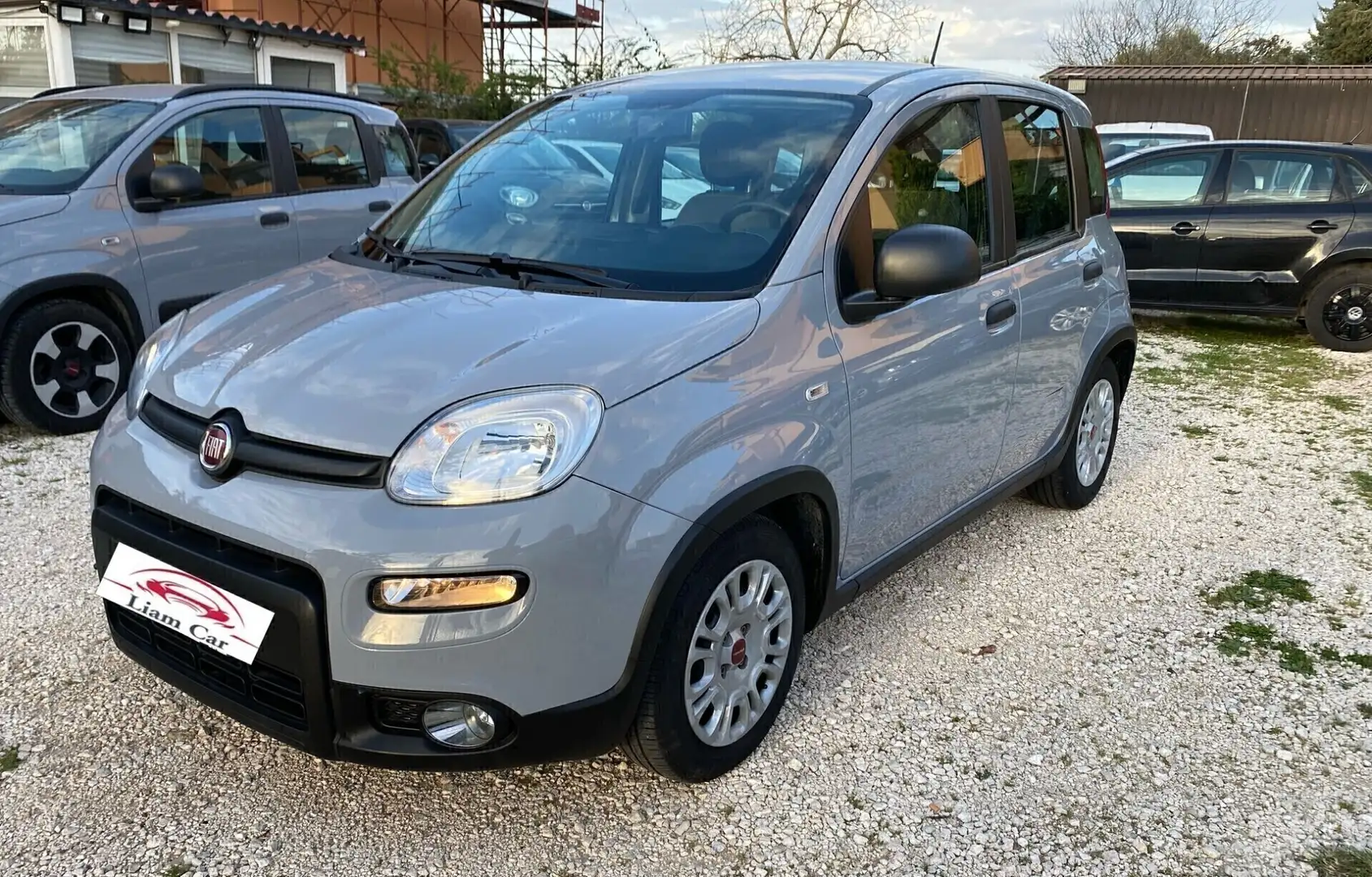 Fiat Panda 1.0 FireFly S&S Hybrid City Cross Grigio - 1