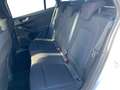 Ford Focus Turnier 1,0 EcoBoost ST-Line Weiß - thumbnail 13