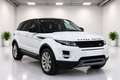 Land Rover Range Rover Evoque 2.2L TD4 Dynamic 4x4 Aut. Blanco - thumbnail 3