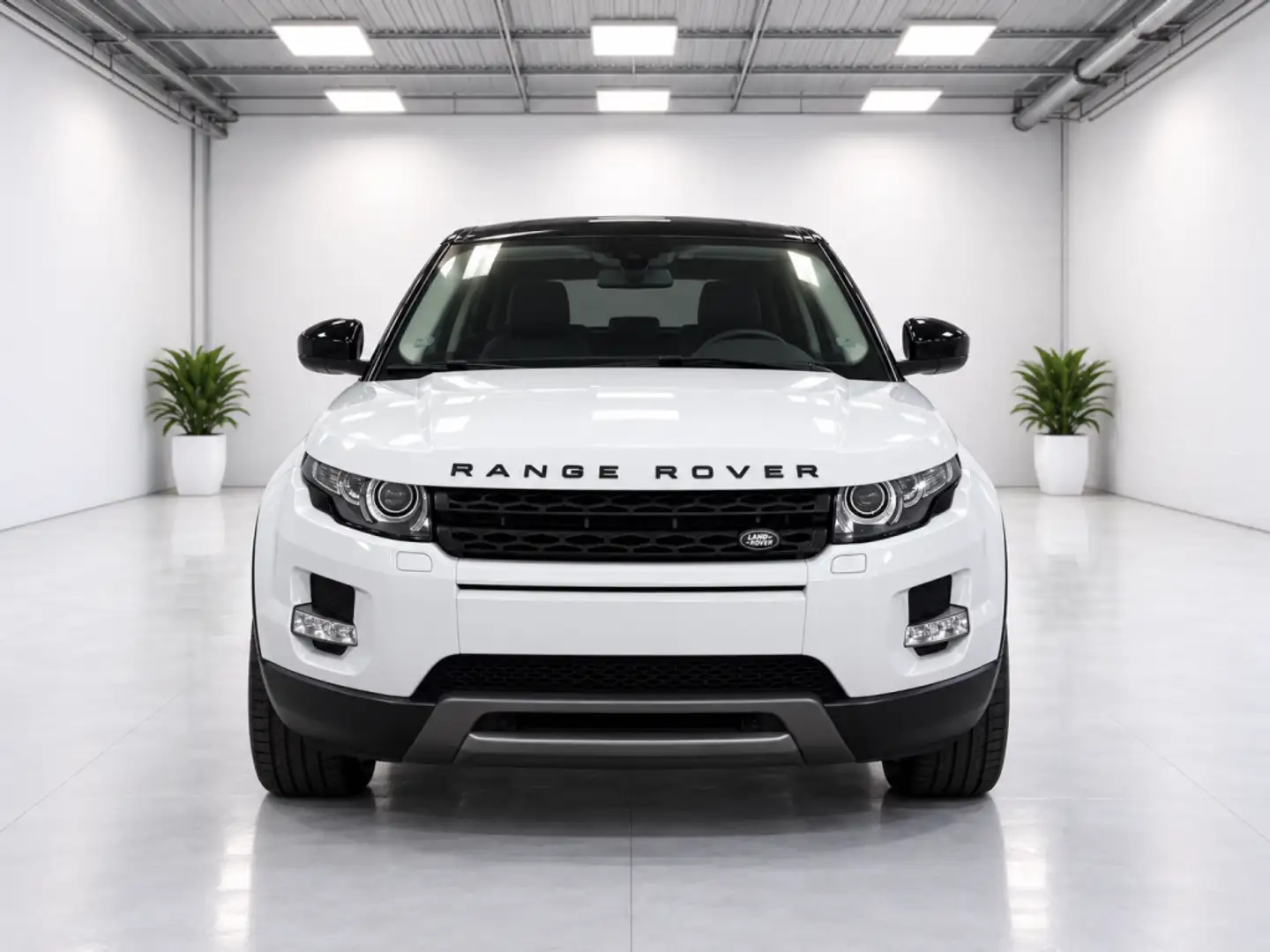 Land Rover Range Rover Evoque 2.2L TD4 Dynamic 4x4 Aut. Blanco - 2