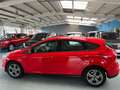 Ford Focus Lim. Champions Edition SHZ PDC v+h Rot - thumbnail 8