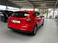 Ford Focus Lim. Champions Edition SHZ PDC v+h Rot - thumbnail 5
