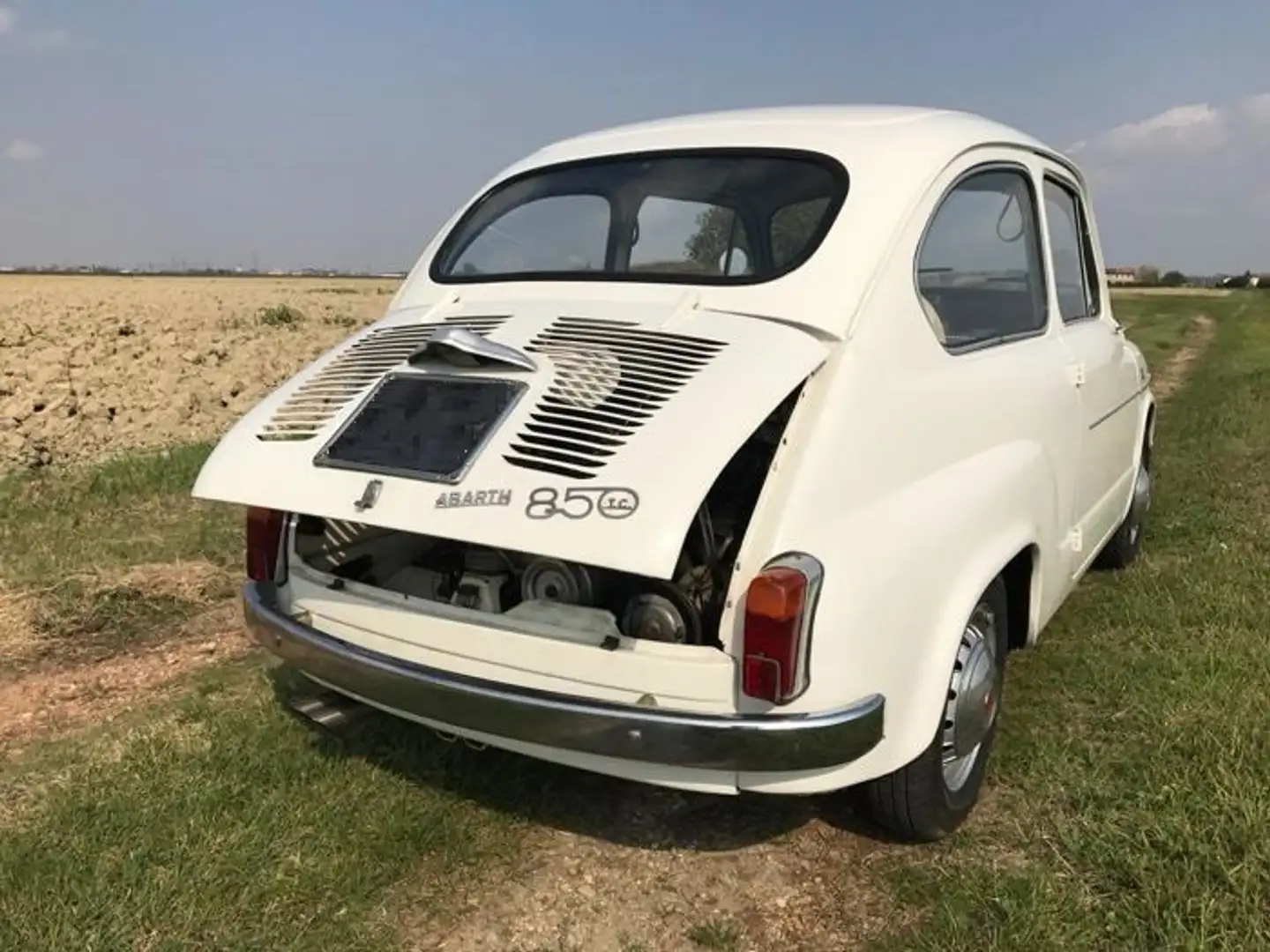 Fiat 850 TC White - 1