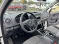 Volkswagen Amarok 2 L TDI 140 CV Single Cab 4 Motion Bianco - thumbnail 21
