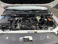 Volkswagen Amarok 2 L TDI 140 CV Single Cab 4 Motion Weiß - thumbnail 14