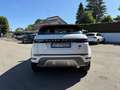 Land Rover Range Rover Evoque 2.0D I4 163 CV AWD R-Dynamic SERVICE UFFICIALI Bianco - thumbnail 5