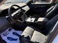 Land Rover Range Rover Evoque 2.0D I4 163 CV AWD R-Dynamic SERVICE UFFICIALI Bianco - thumbnail 7
