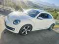 Volkswagen Beetle Beetle 1.4 TSI BMT Design 110kW Design Blanco - thumbnail 1