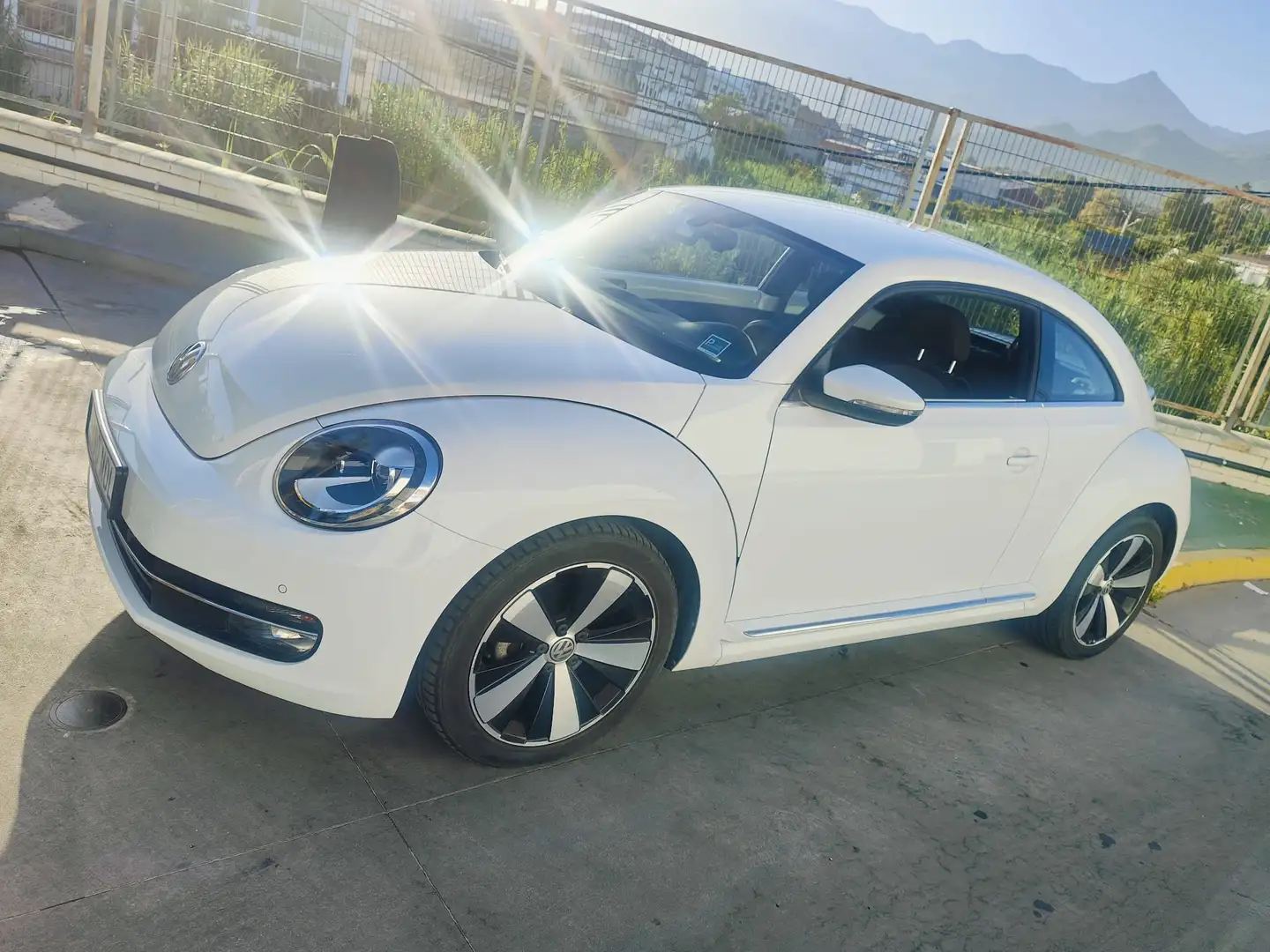 Volkswagen Beetle Beetle 1.4 TSI BMT Design 110kW Design Blanco - 1